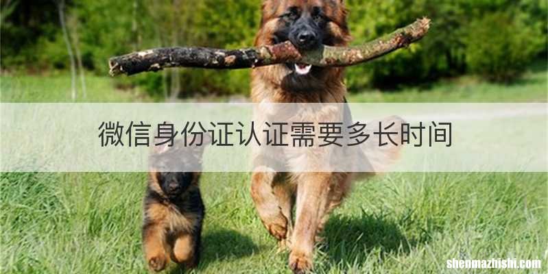 微信身份证认证需要多长时间
