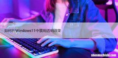 如何在Windows11中禁用透明效果，快速设置