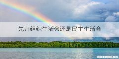 先开组织生活会还是民主生活会