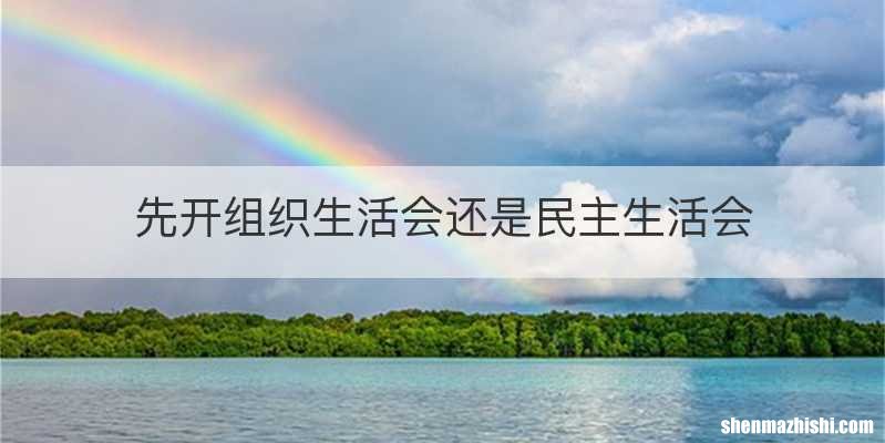 先开组织生活会还是民主生活会