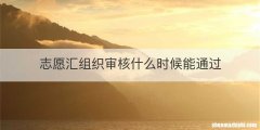 志愿汇组织审核什么时候能通过