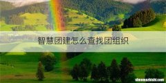 智慧团建怎么查找团组织