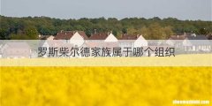 罗斯柴尔德家族属于哪个组织