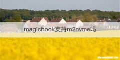 magicbook支持m2nvme吗