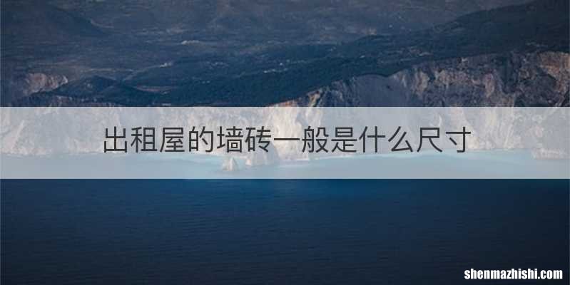 出租屋的墙砖一般是什么尺寸