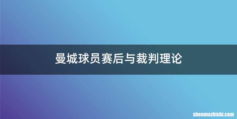 曼城球员赛后与裁判理论