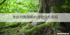 李白对陶渊明的诗歌评价高吗