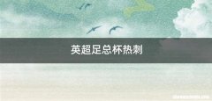 英超足总杯热刺