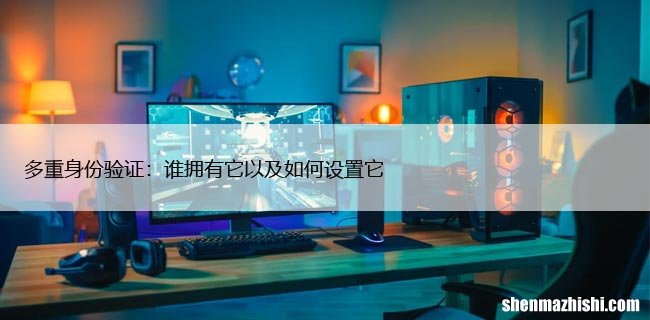 多重身份验证：谁拥有它以及如何设置它