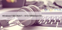 学完不想用回win10 Windows11提示和技巧