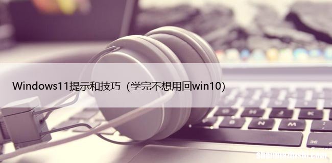 学完不想用回win10 Windows11提示和技巧