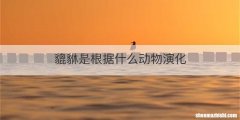 貔貅是根据什么动物演化