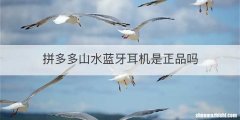 拼多多山水蓝牙耳机是正品吗