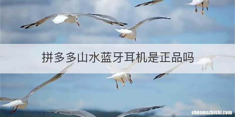 拼多多山水蓝牙耳机是正品吗