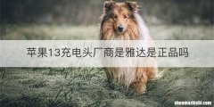 苹果13充电头厂商是雅达是正品吗