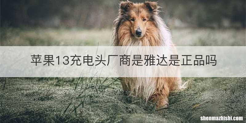 苹果13充电头厂商是雅达是正品吗