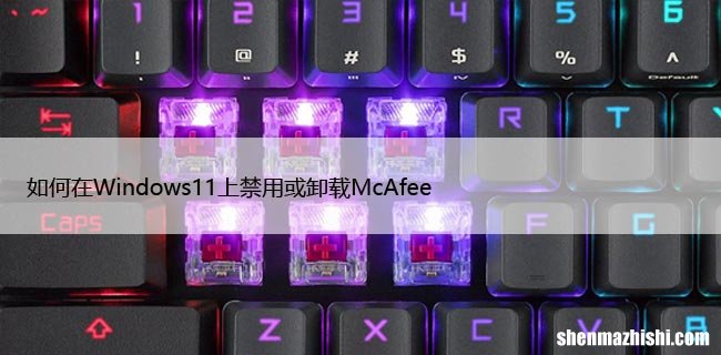 如何在Windows11上禁用或卸载McAfee
