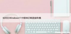 如何在Windows11中限制诊断数据收集