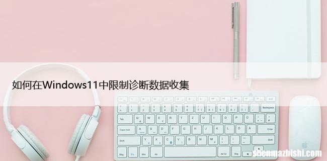如何在Windows11中限制诊断数据收集