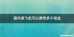 国内乘飞机可以携带多少现金