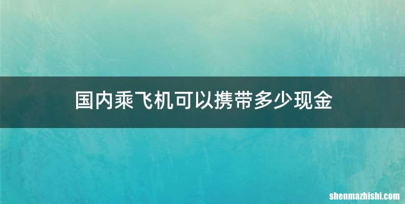 国内乘飞机可以携带多少现金