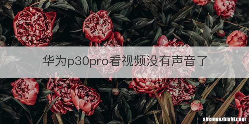 华为p30pro看视频没有声音了