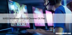 如何在Windows11中安装Chrome OS Flex