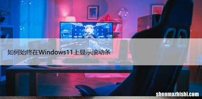 如何始终在Windows11上显示滚动条，设置详细教程