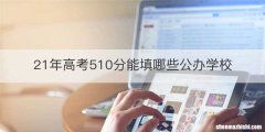 21年高考510分能填哪些公办学校