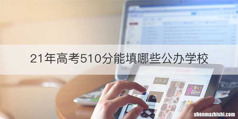 21年高考510分能填哪些公办学校