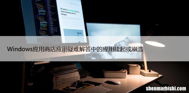 Windows应用商店应用疑难解答中的应用挂起或崩溃
