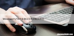 Windows11/10中未显示文件夹和文件名
