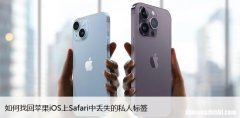 如何找回苹果iOS上Safari中丢失的私人标签