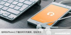 如何在iPhone上下载任何文件类型，轻松学会
