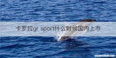 卡罗拉gr sport什么时候国内上市