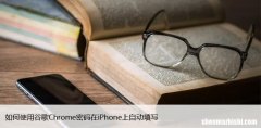 如何使用谷歌Chrome密码在iPhone上自动填写