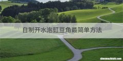 自制开水泡豇豆角最简单方法