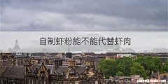 自制虾粉能不能代替虾肉