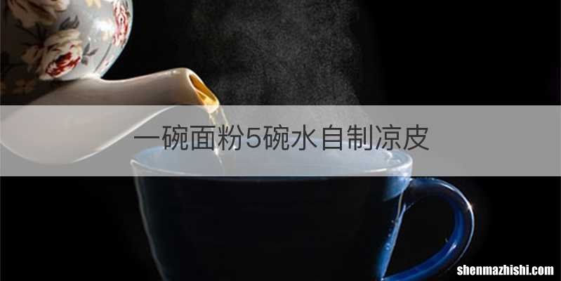 一碗面粉5碗水自制凉皮