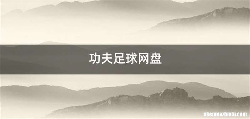 功夫足球网盘