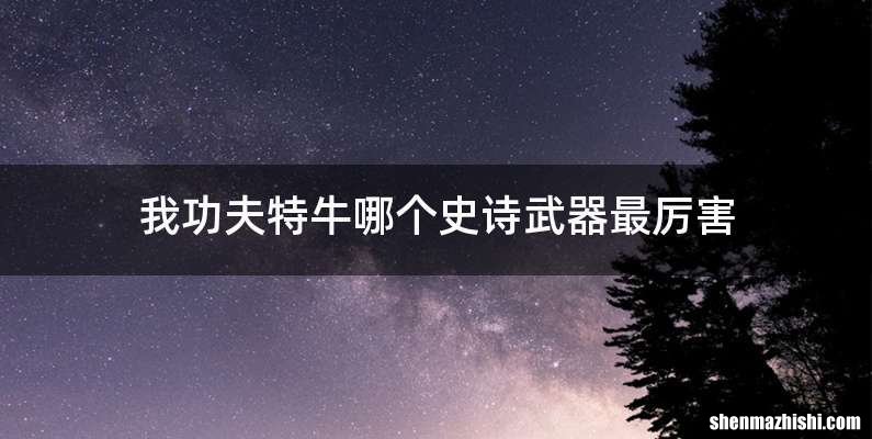 我功夫特牛哪个史诗武器最厉害