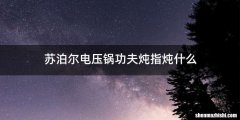 苏泊尔电压锅功夫炖指炖什么