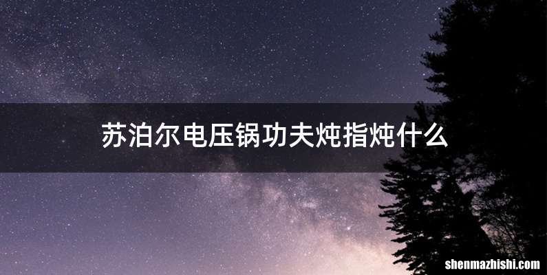 苏泊尔电压锅功夫炖指炖什么