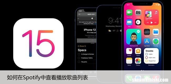 如何在Spotify中查看播放歌曲列表