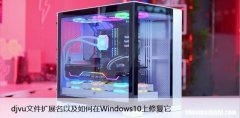 什么是 .djvu文件扩展名以及如何在Windows10上修复它