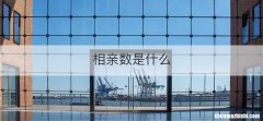 相亲数是什么