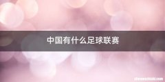 中国有什么足球联赛