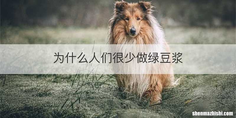 为什么人们很少做绿豆浆