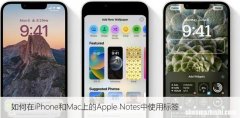如何在iPhone和Mac上的Apple Notes中使用标签
