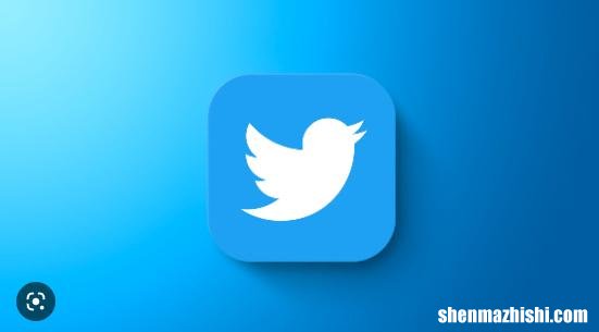 您能看到谁查看了您的Twitter个人资料吗？没有！